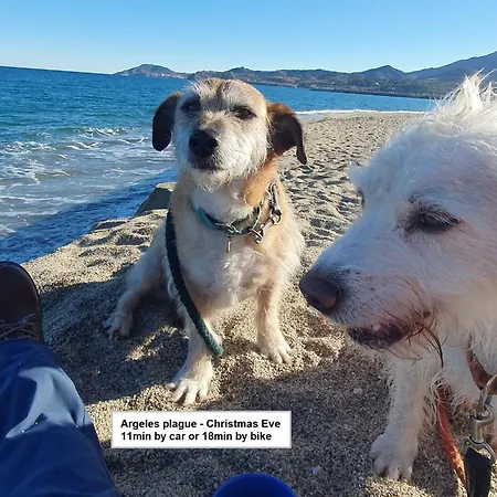 Mountain View - De Maison En Maison Casa vacanze