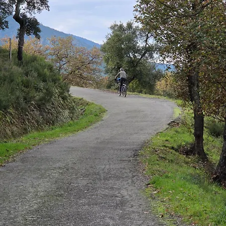 Mountain View - 3-bedroom, Air-conditioned In * Sorède