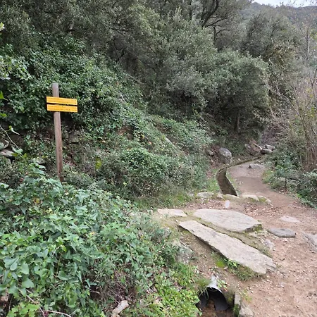 Mountain View - De Maison En Maison *